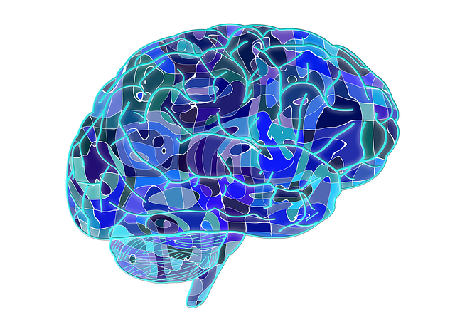 OUR COLLECTIVE COGNITIVE DISSIDENCE ON SEXUAL ASSAULT 