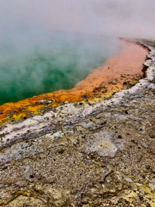 American Elitism: Reflecting on Healthcare Systems from New Zealand