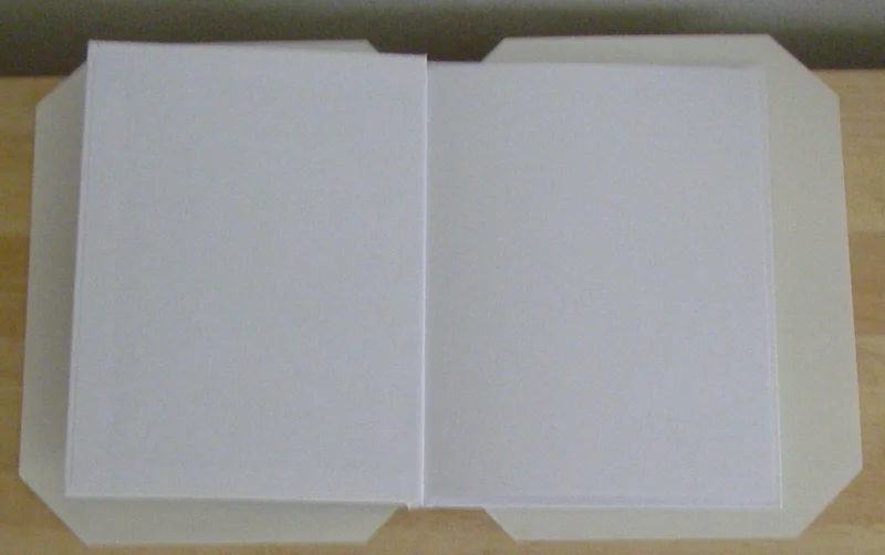 BOOK COVERS PORTRAIT.jpg