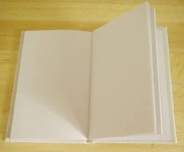 BLANK BOOK OPEN.jpg