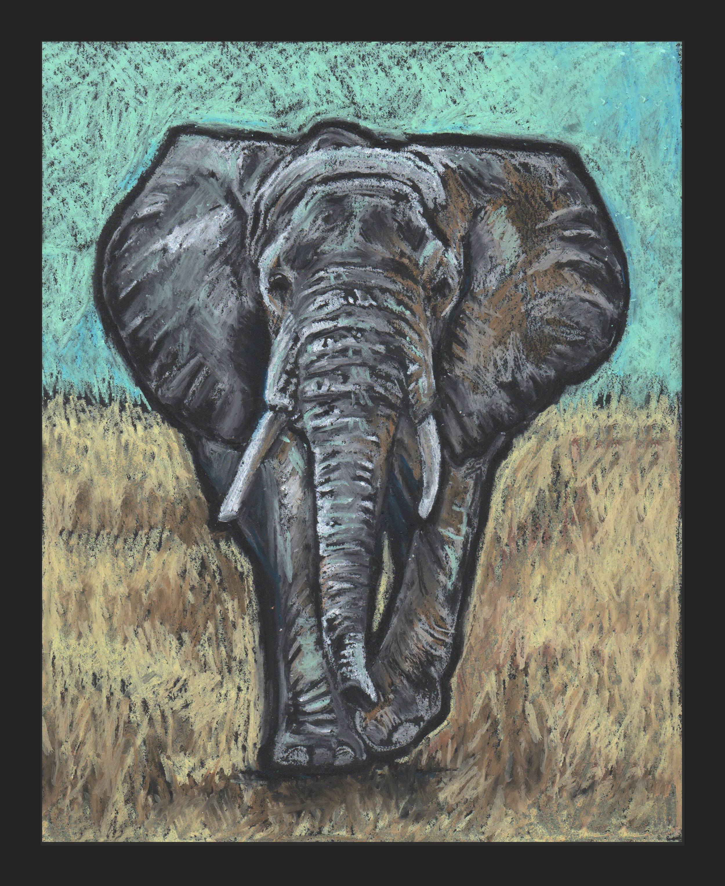 Elephant_border 8x10.jpg
