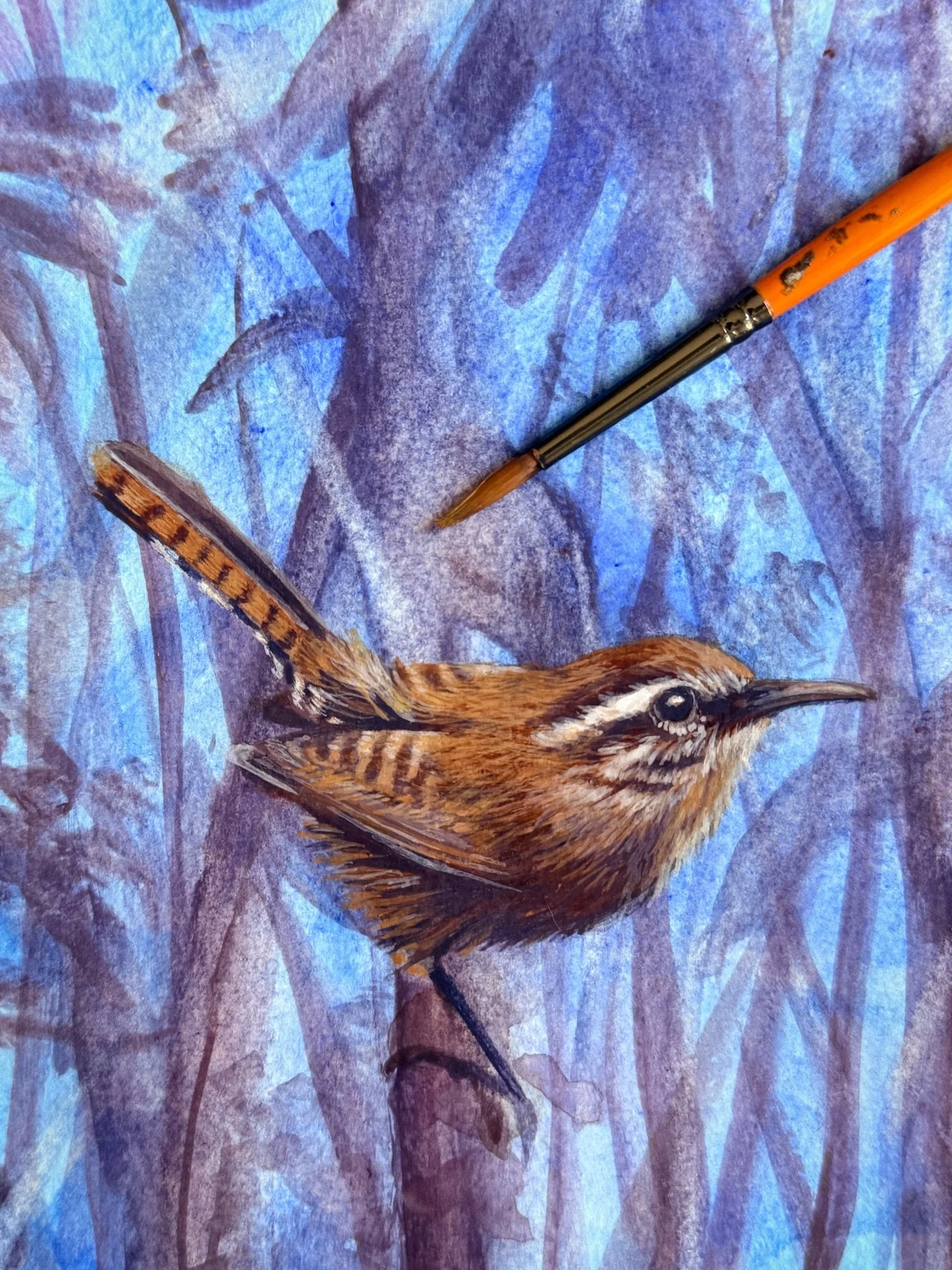 I&rsquo;m still a bit of a work in progress.

#birdartwork #littlewren #workinprogress