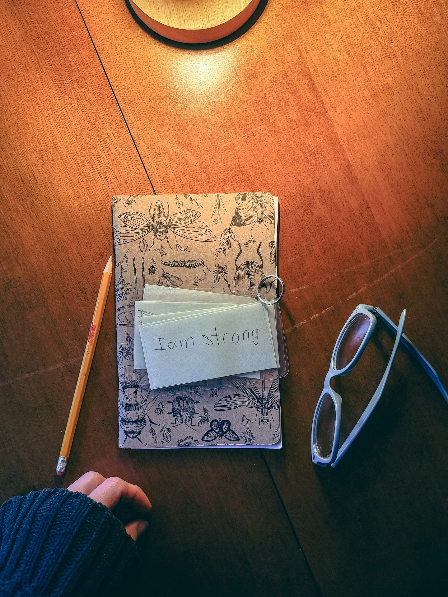 micro joy | neuroplasticity

&ldquo;I am strong.
I am brave.
I can totally do this.&rdquo;