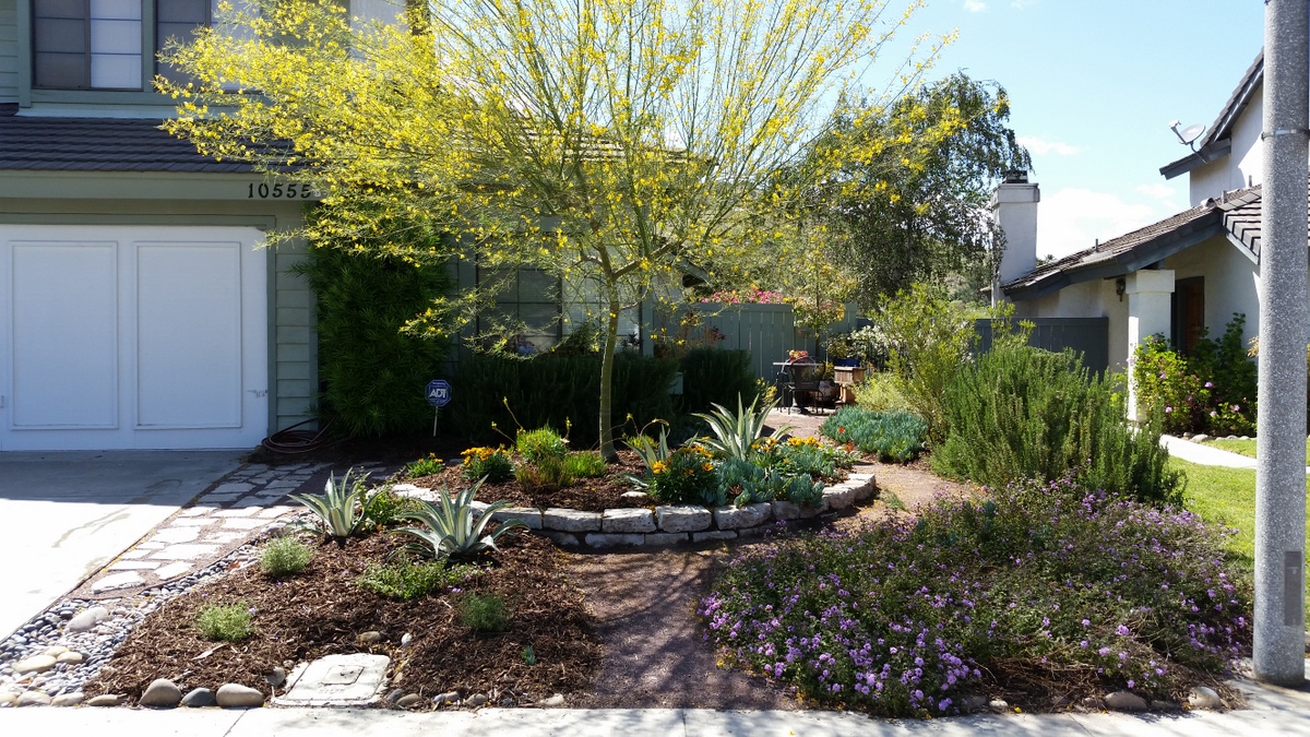 Xeriscape