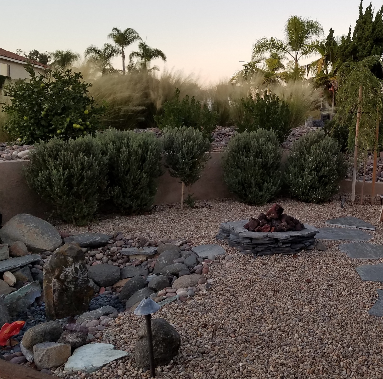 20161102_175440.jpg