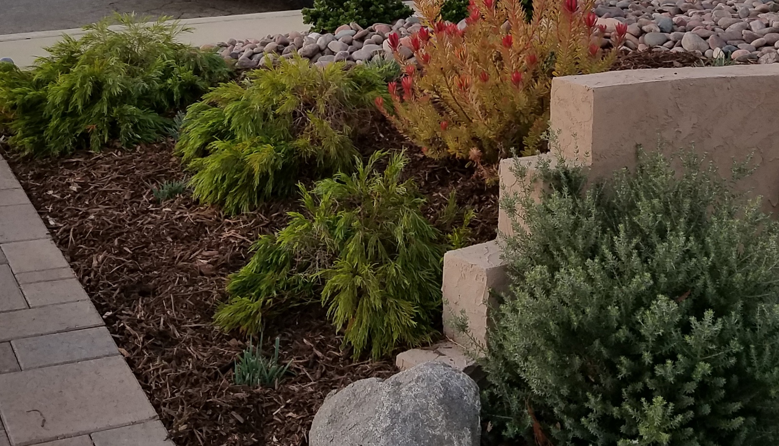 20161102_175605.jpg