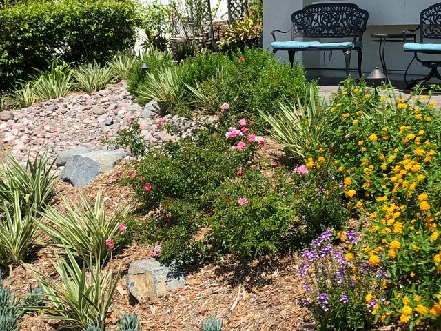 Rackley front yard.jpg