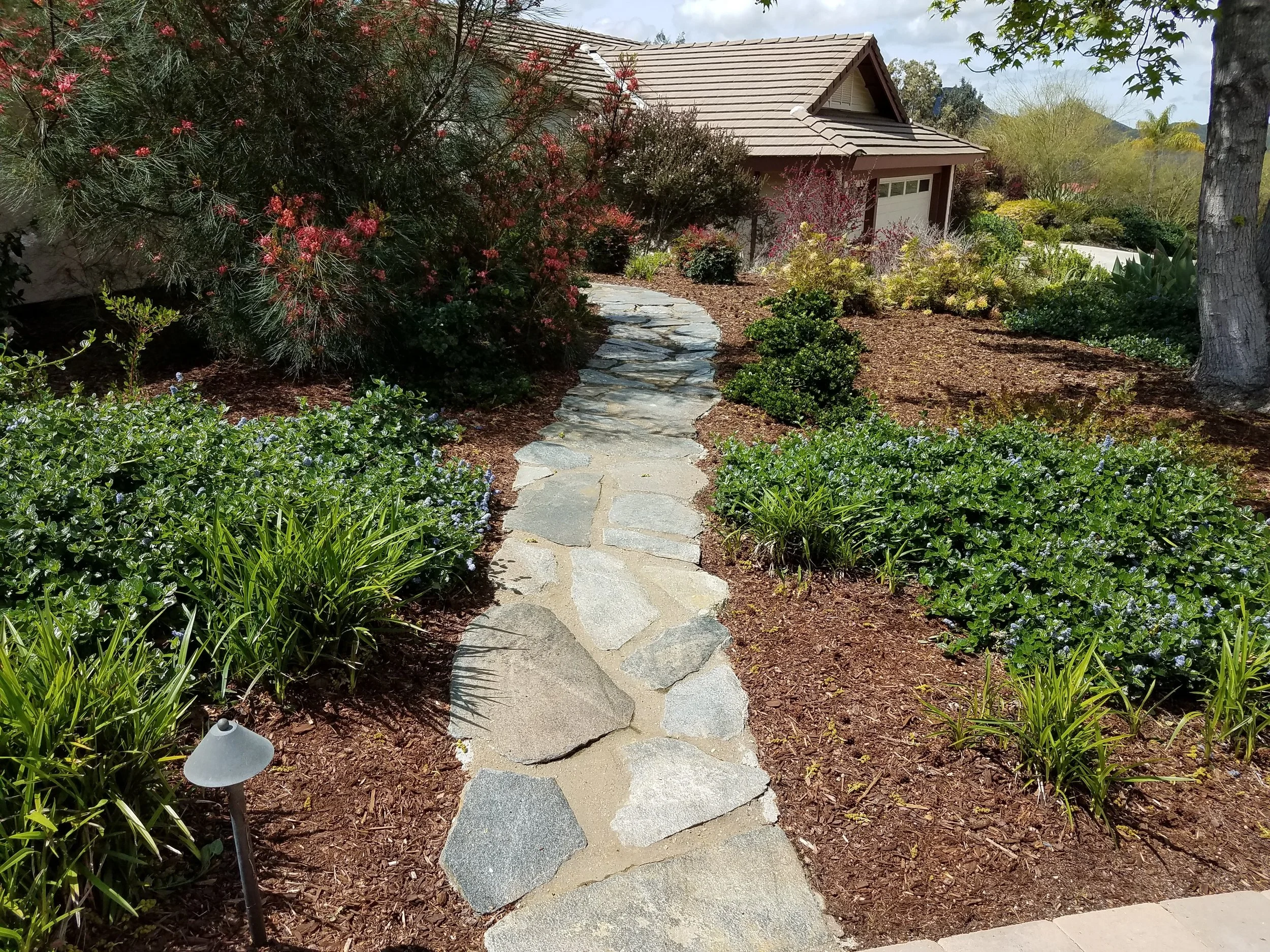 A new flagstone walkway to the back gate welcomes you into the garden, a place where thirsty grass once existed