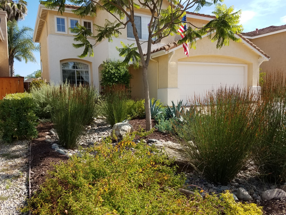 This garden uses approximately 80% less water than the original cool season grass lawn.