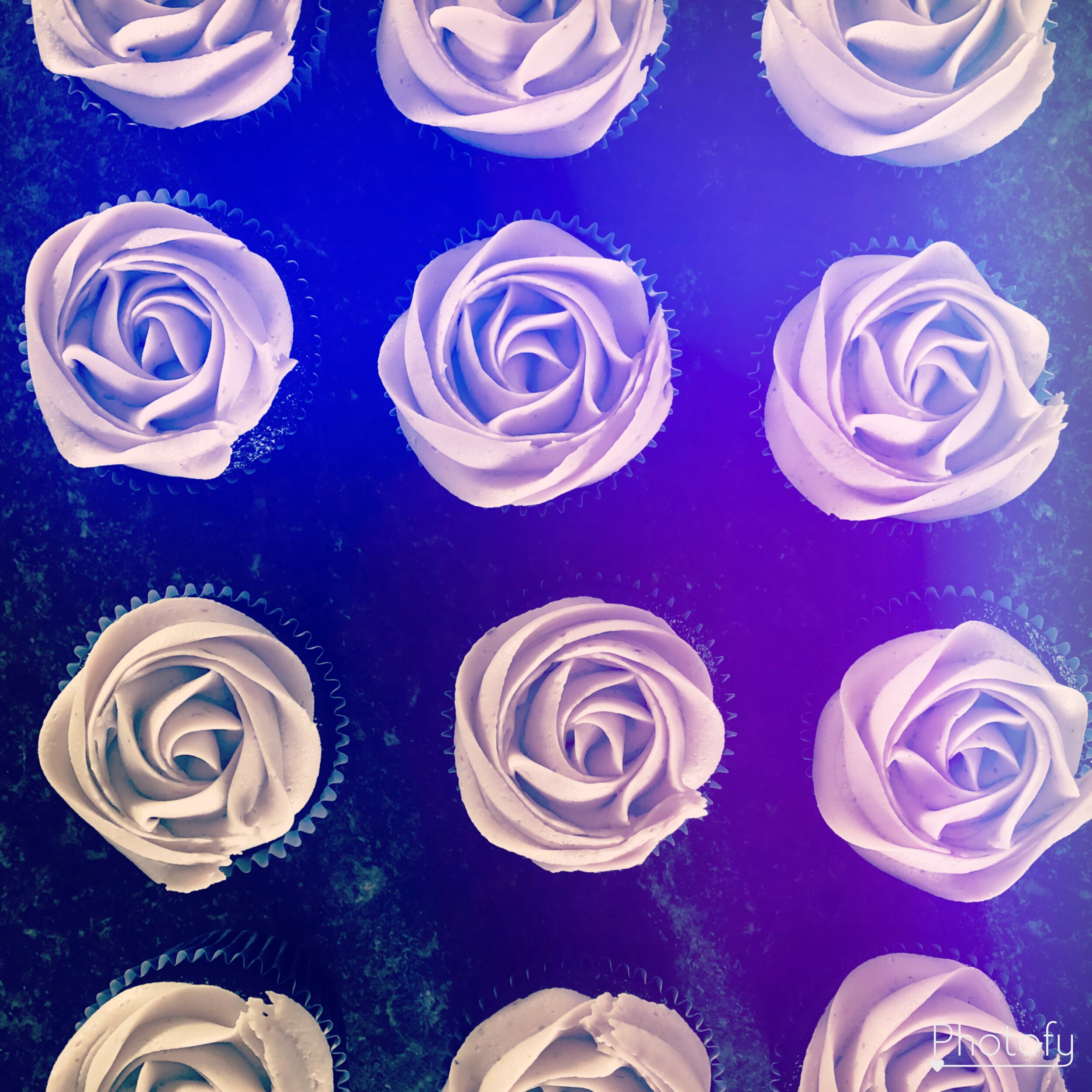 lavendar cupcakes.JPG