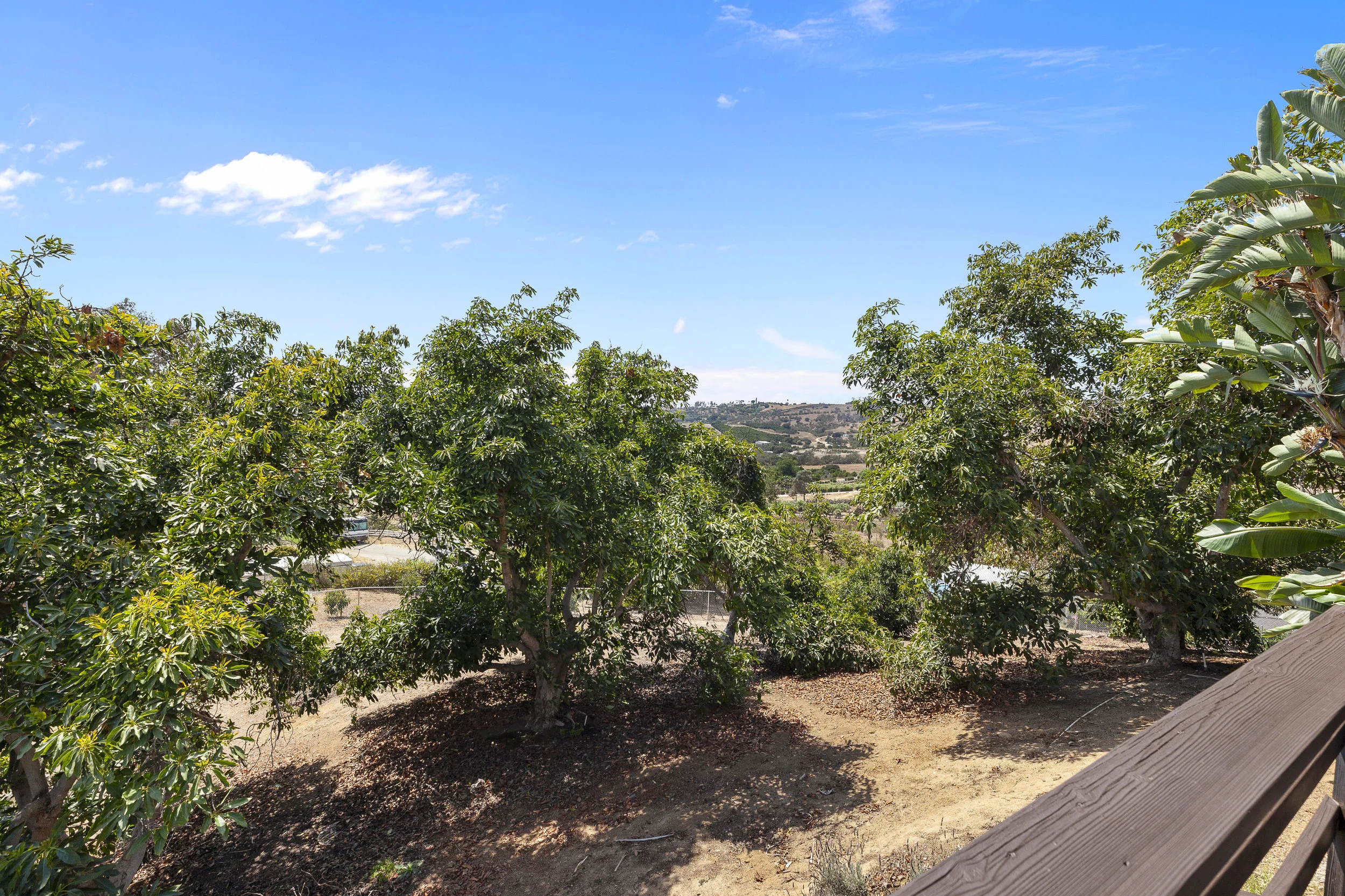 016_View from Deck.jpg