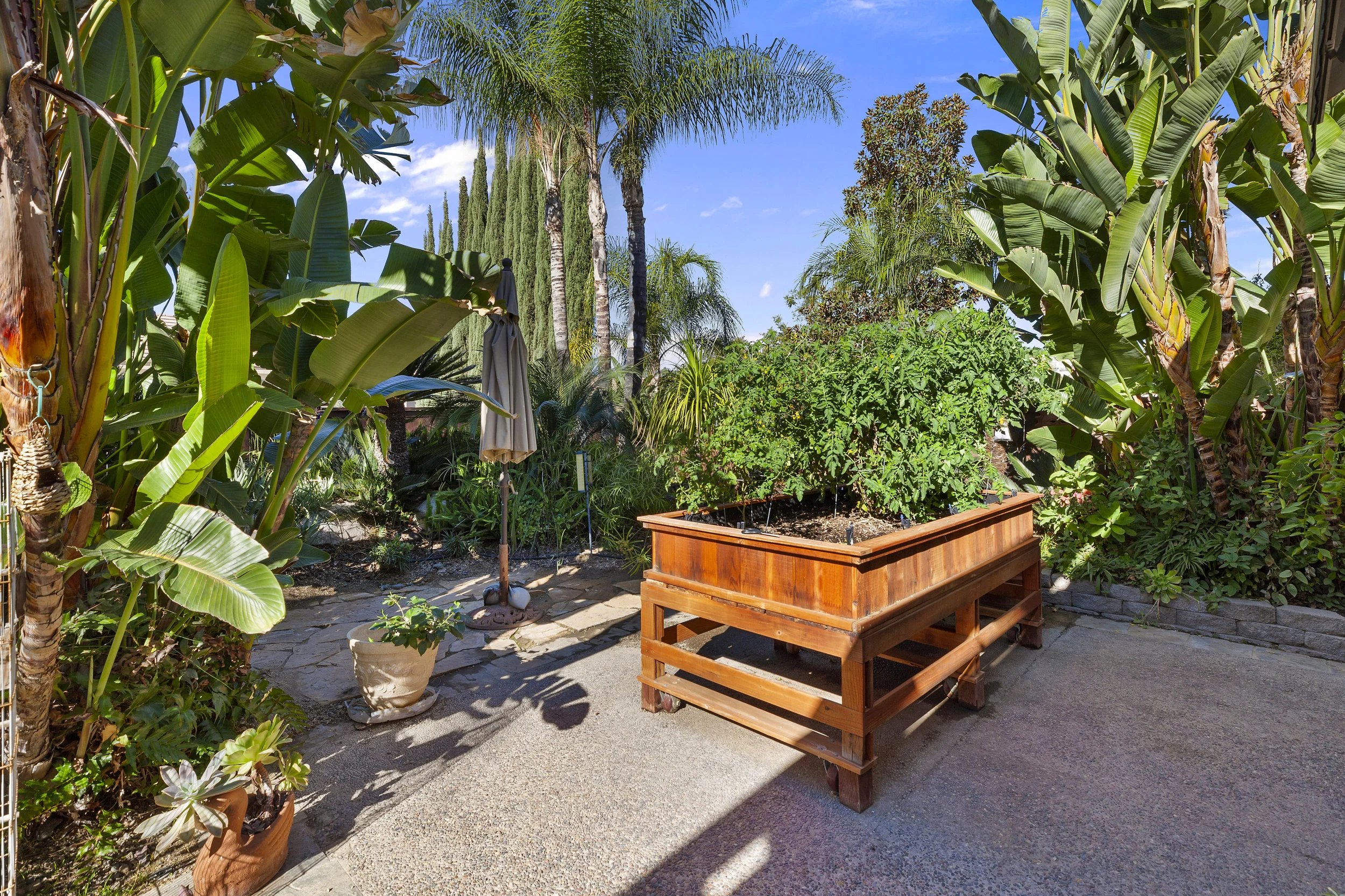 022_Backyard.jpg