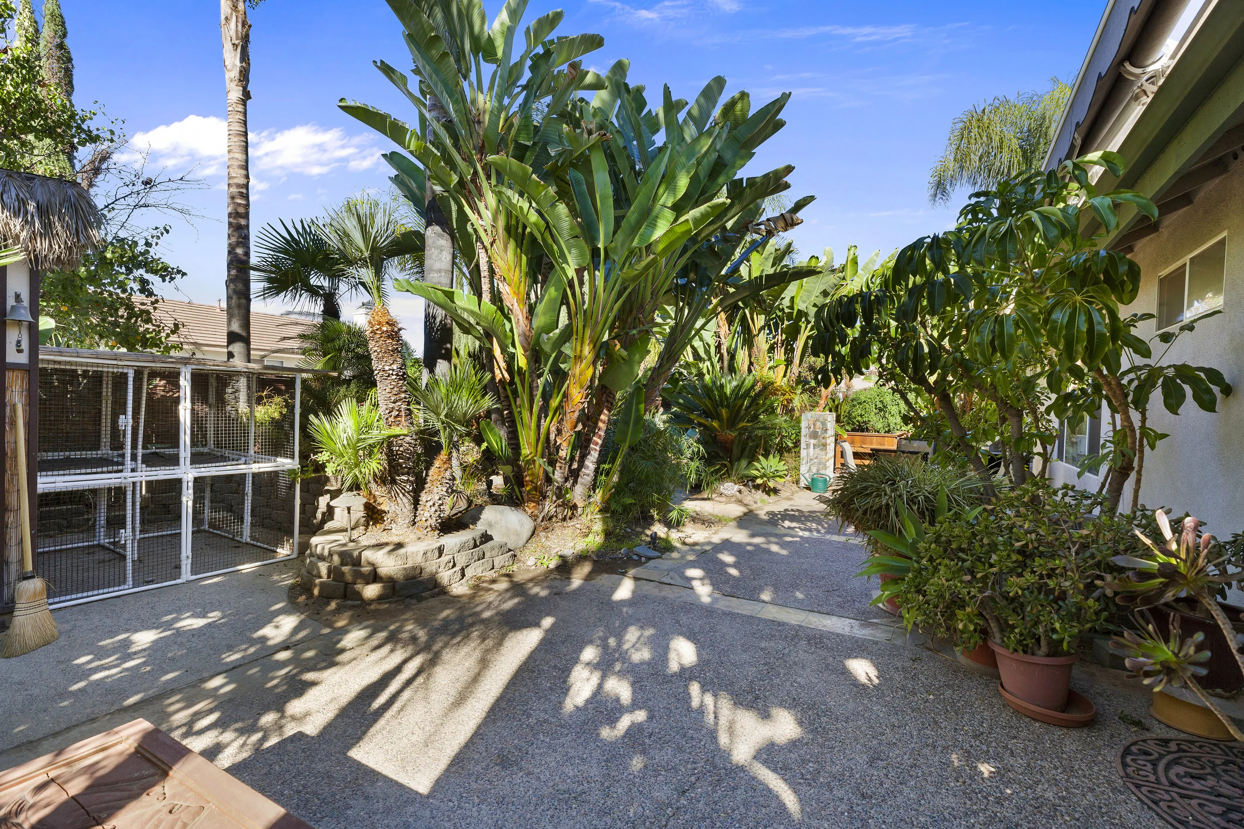 025_Backyard.jpg