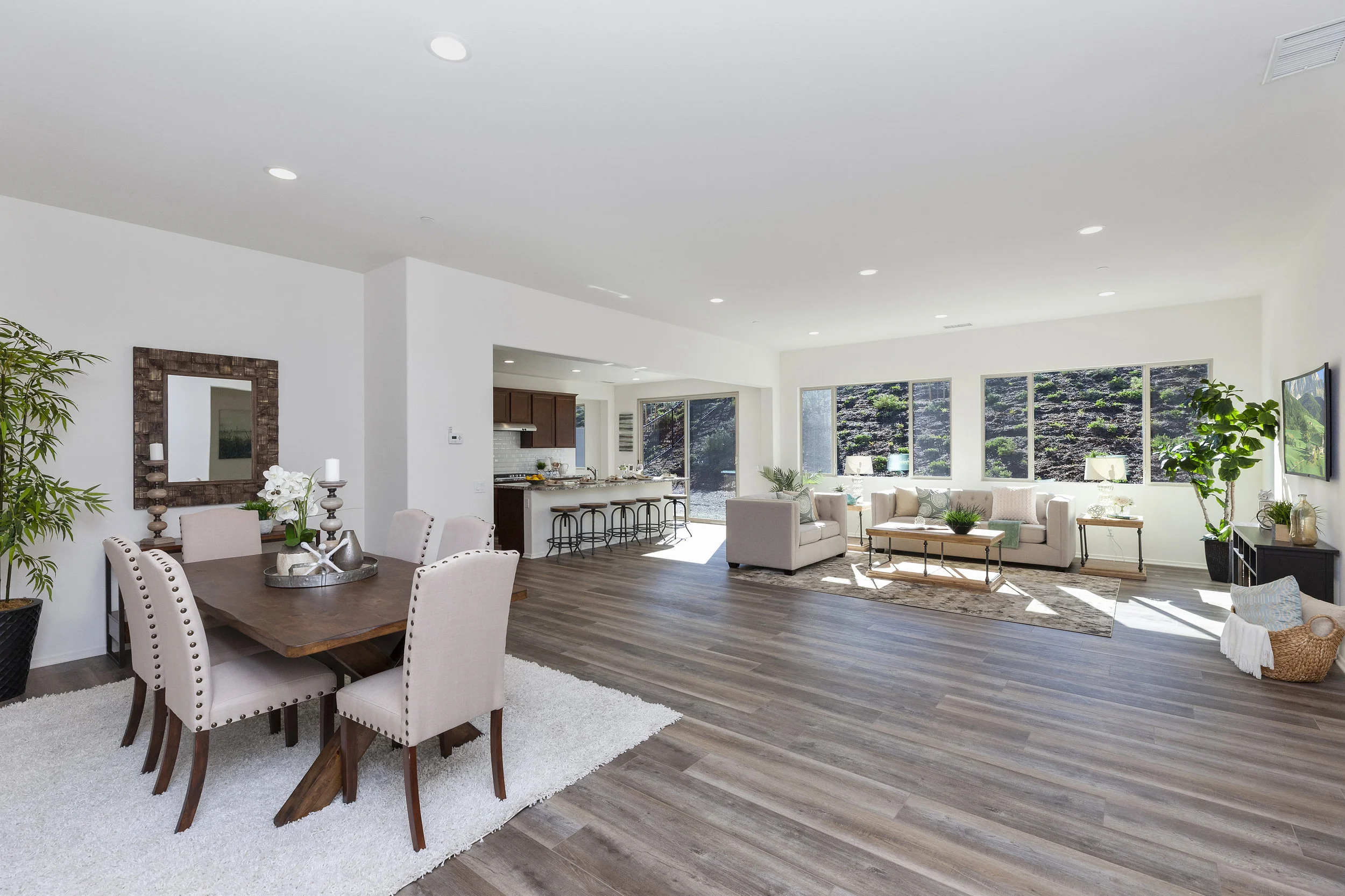 006_Living & Dining Room.jpg