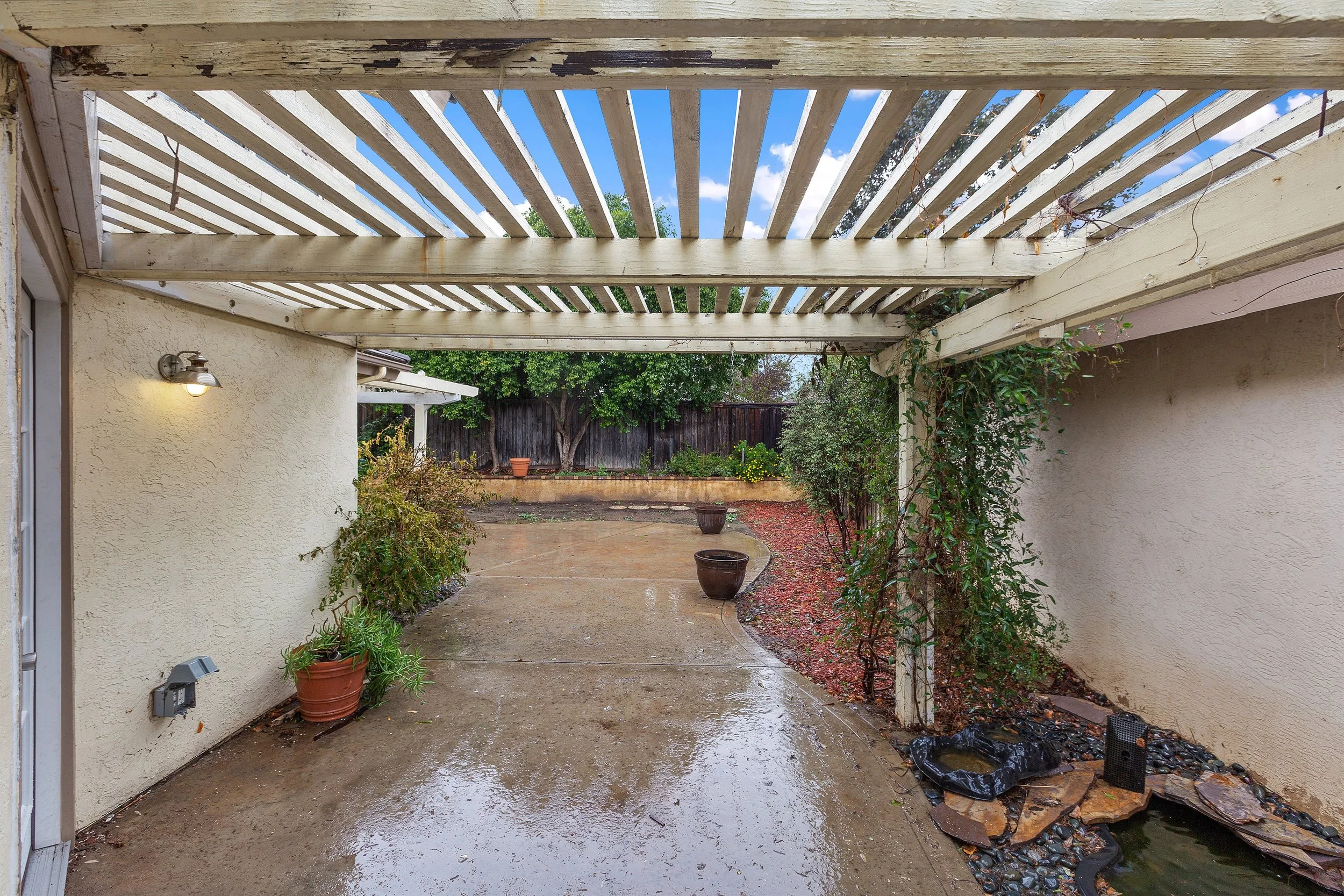 021_Backyard .jpg