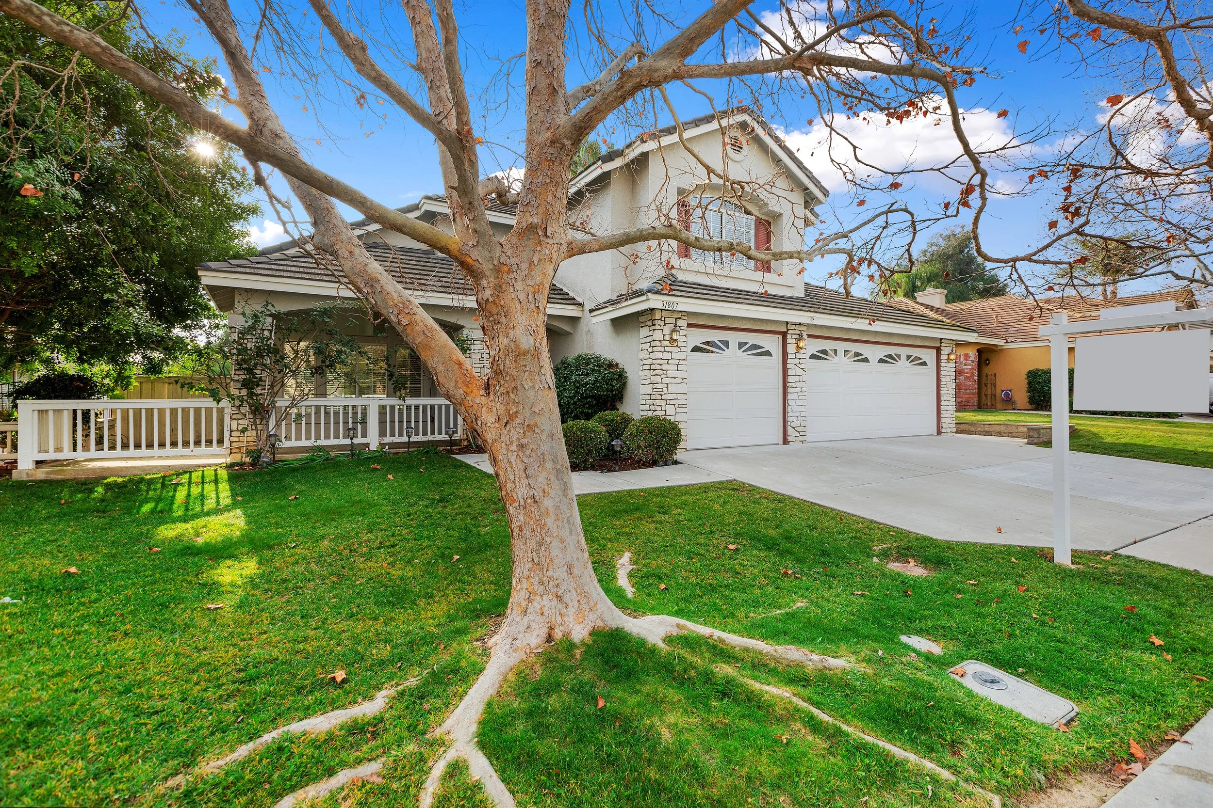 003_Front Yard .jpg
