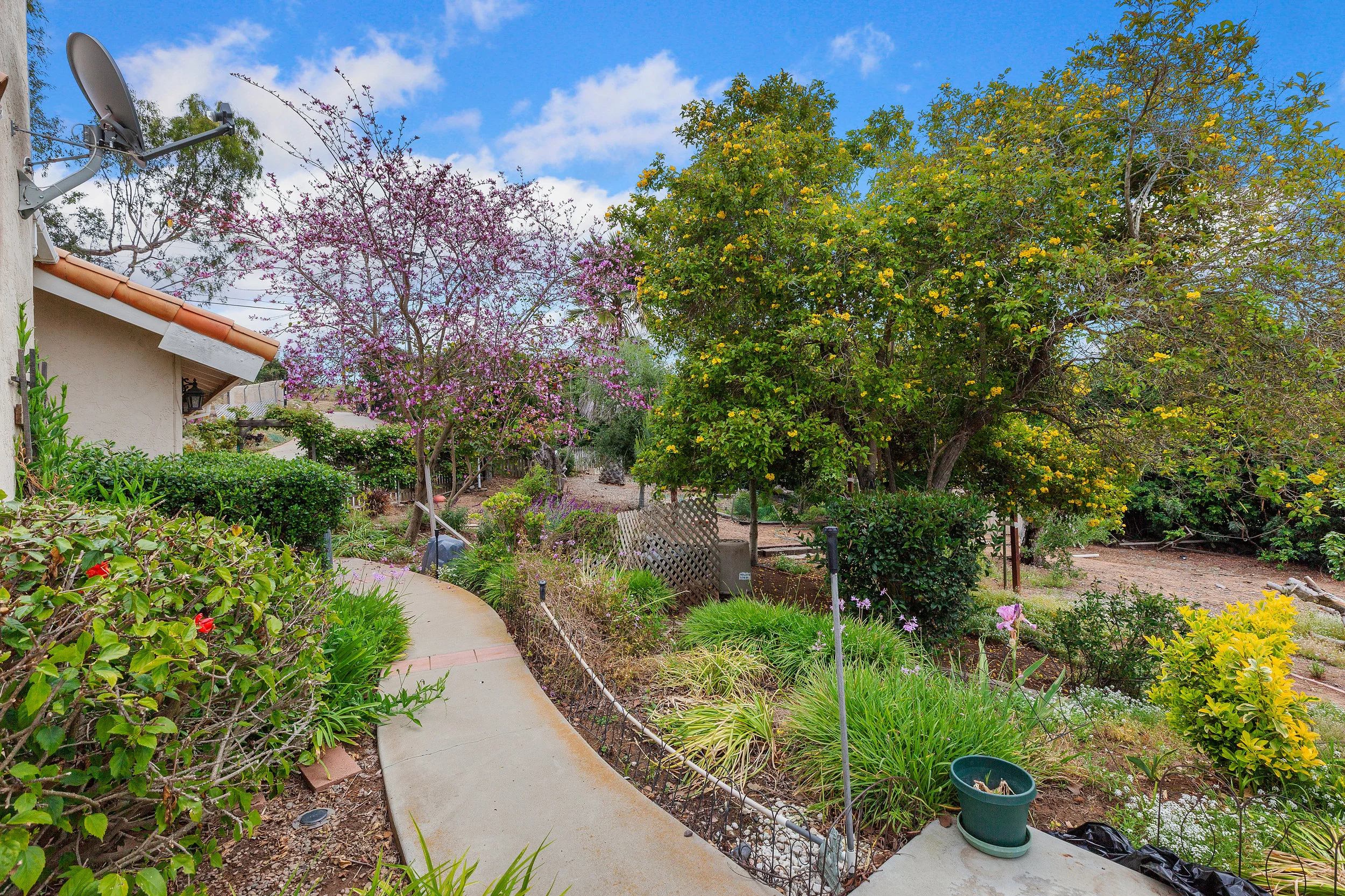 021_Backyard .jpg