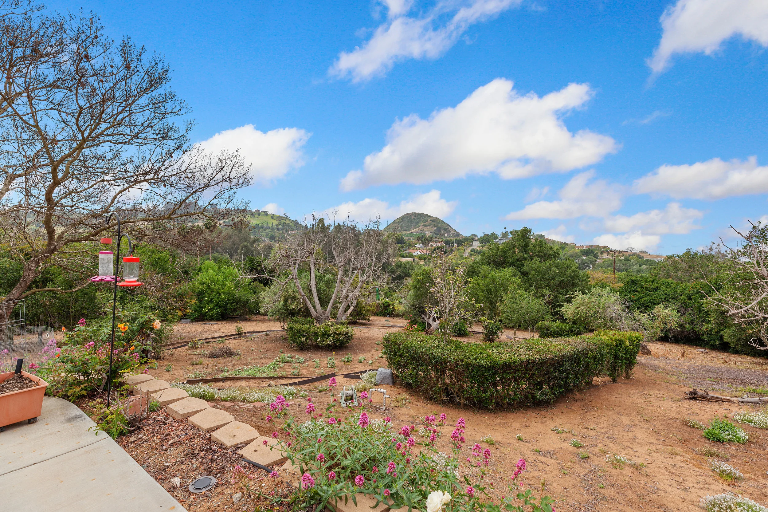 022_Backyard .jpg