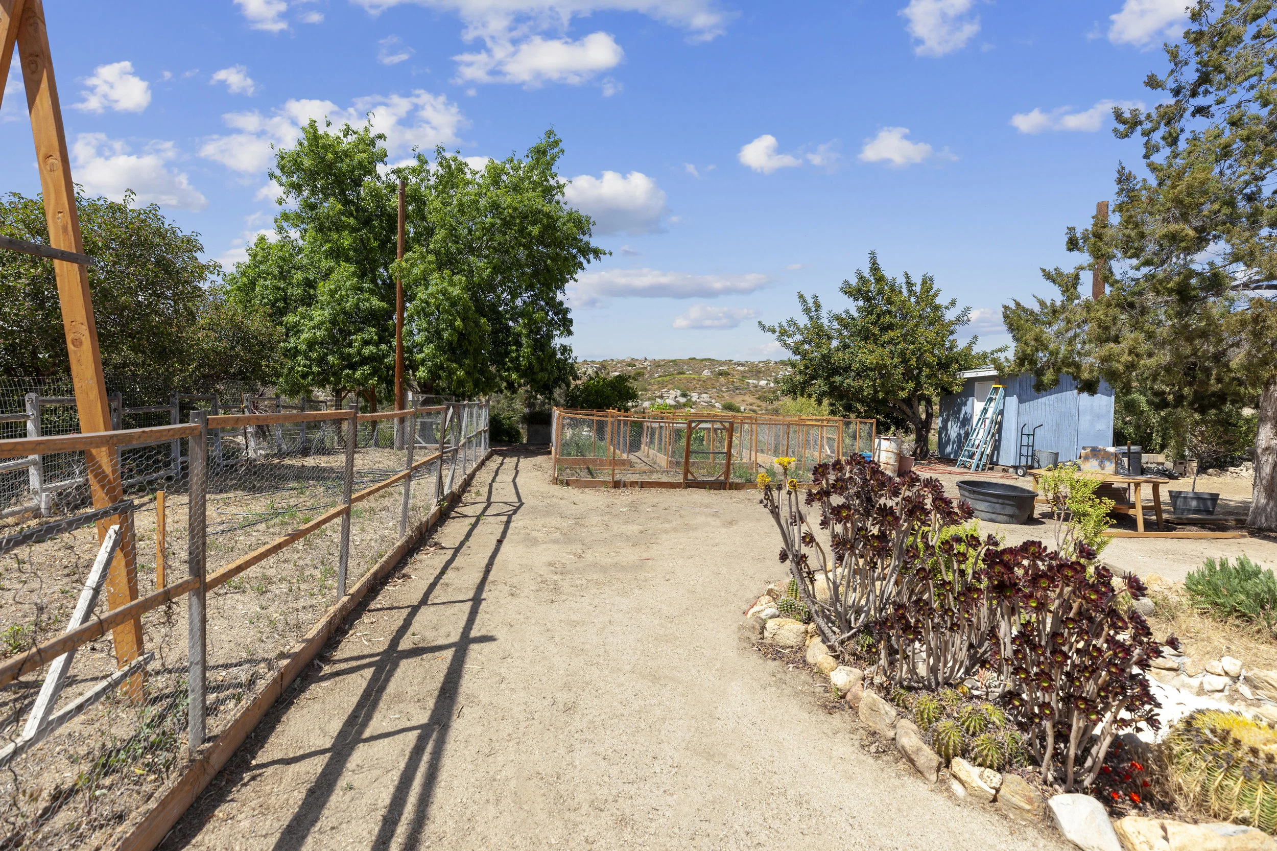 007_Front Yard.jpg