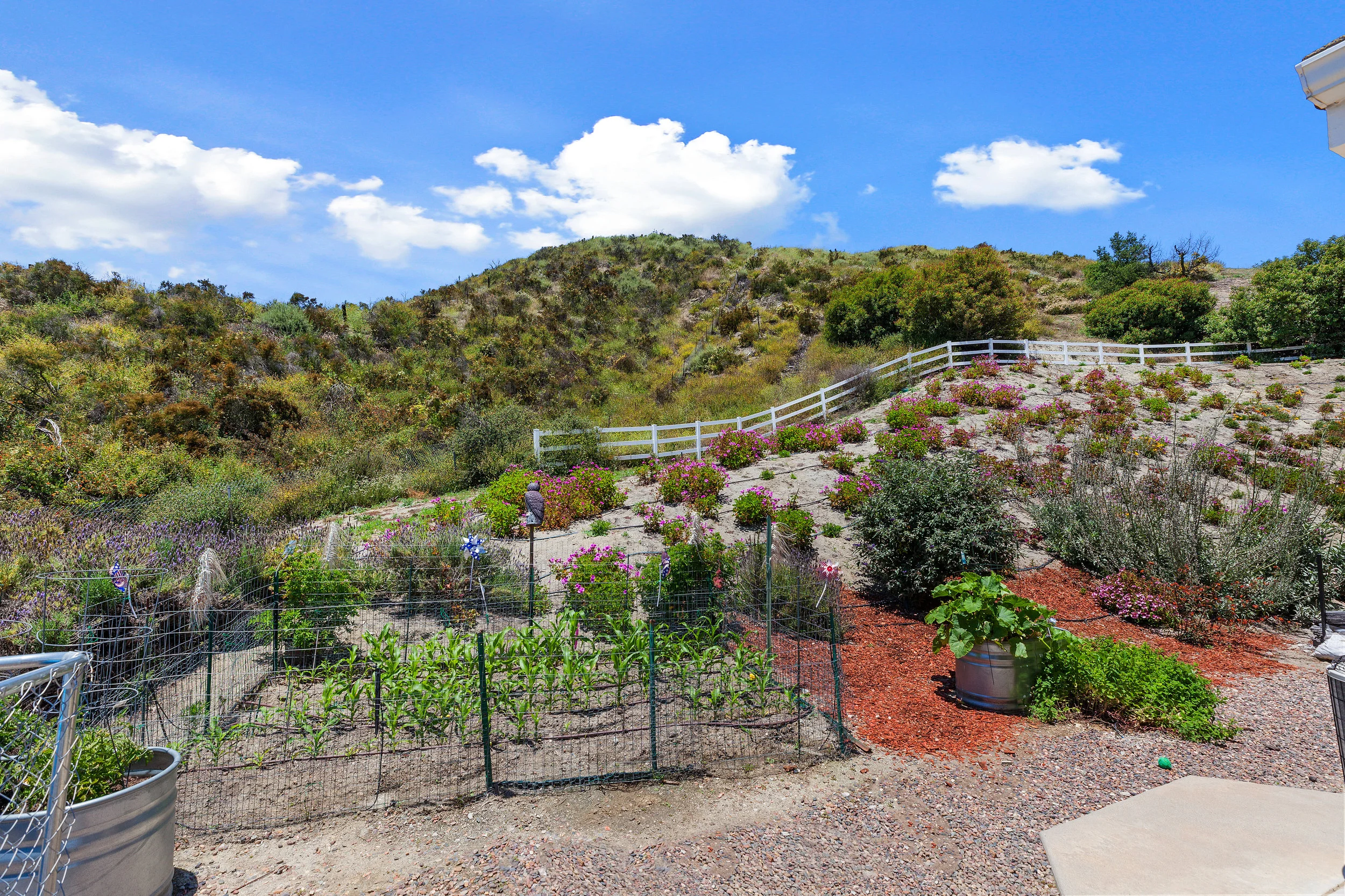 038_Property View.jpg