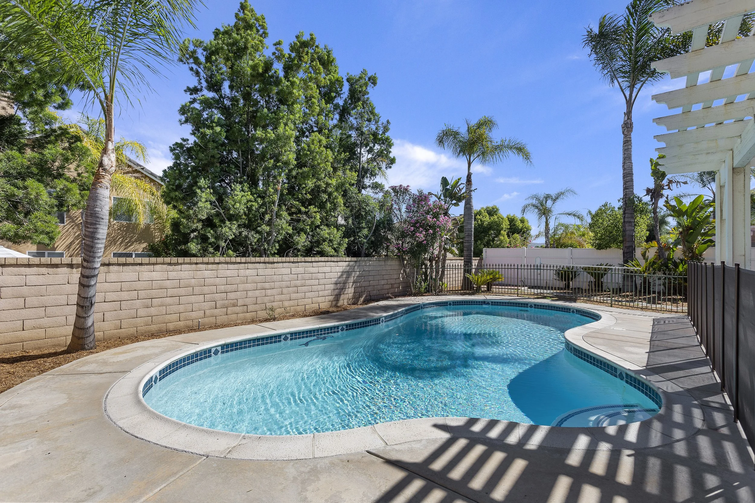 035_Back Yard.jpg