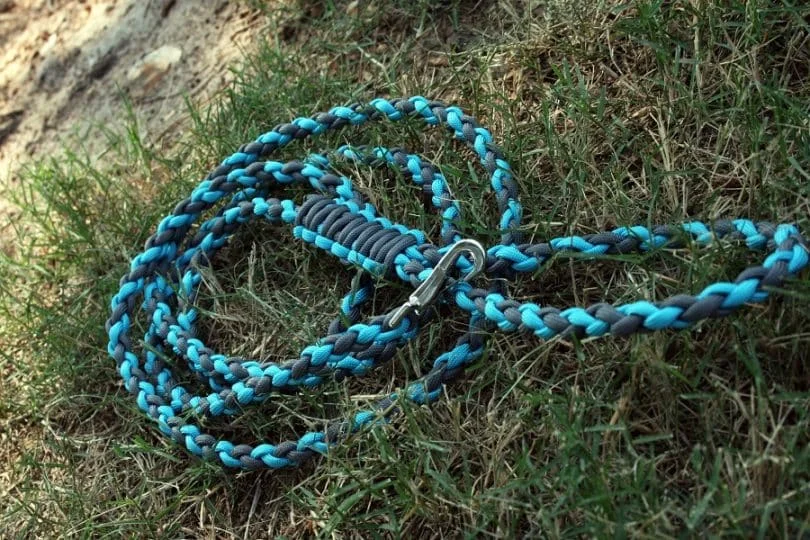 paracord leash diy