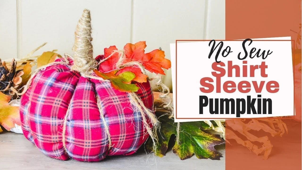 nosewshirtsleevepumpkins.jpg