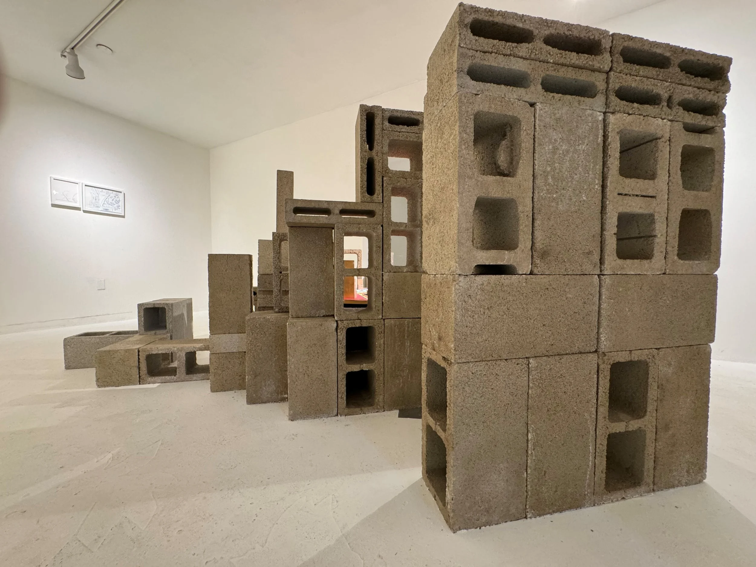 Creation and Destruction in Miami's Urban Landscape by Alexandra Martinez