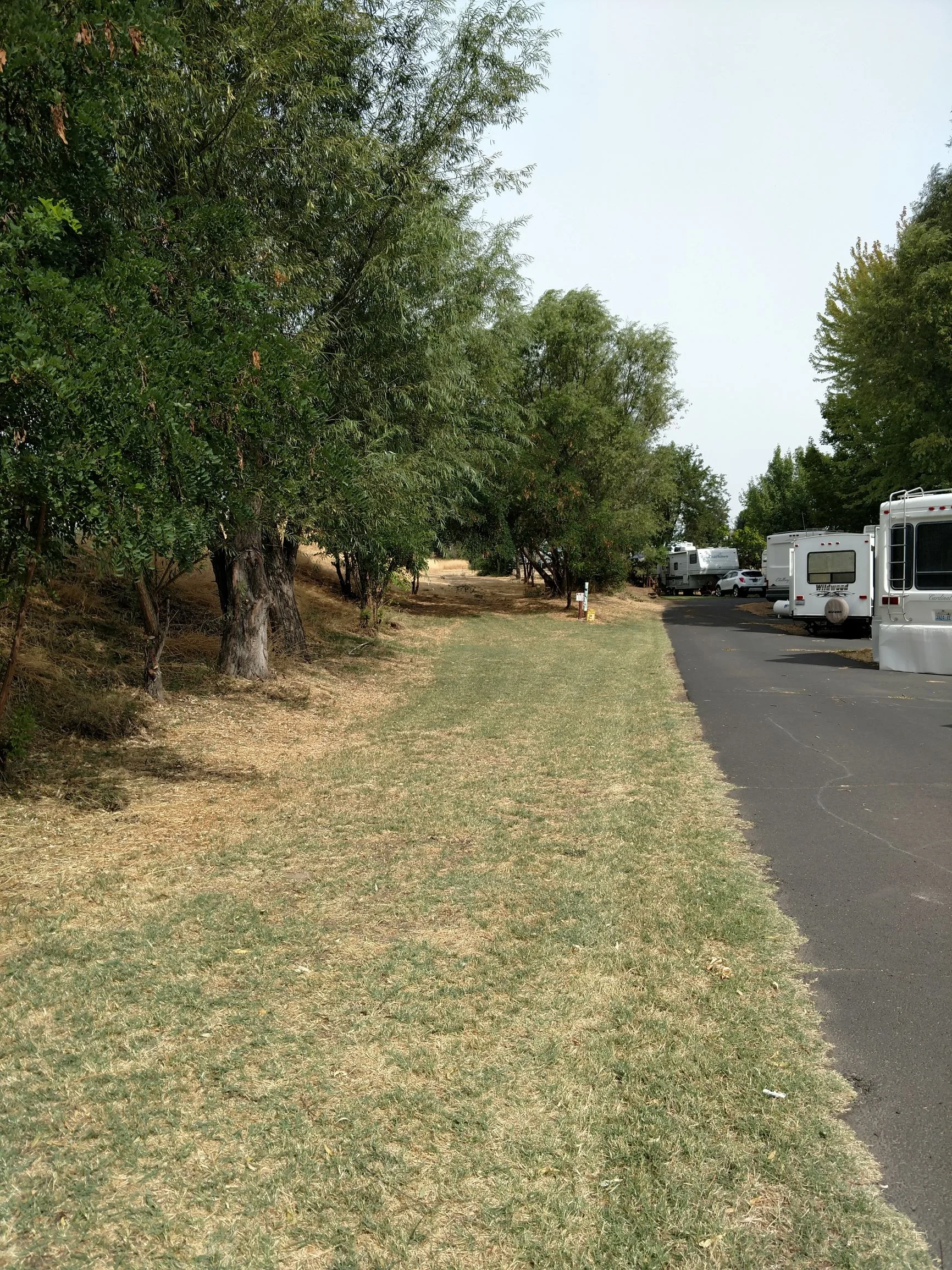 Park Pet Walk Trail.jpg