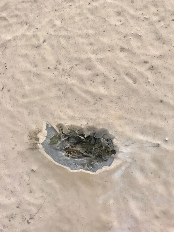 A tank repair with a surprise