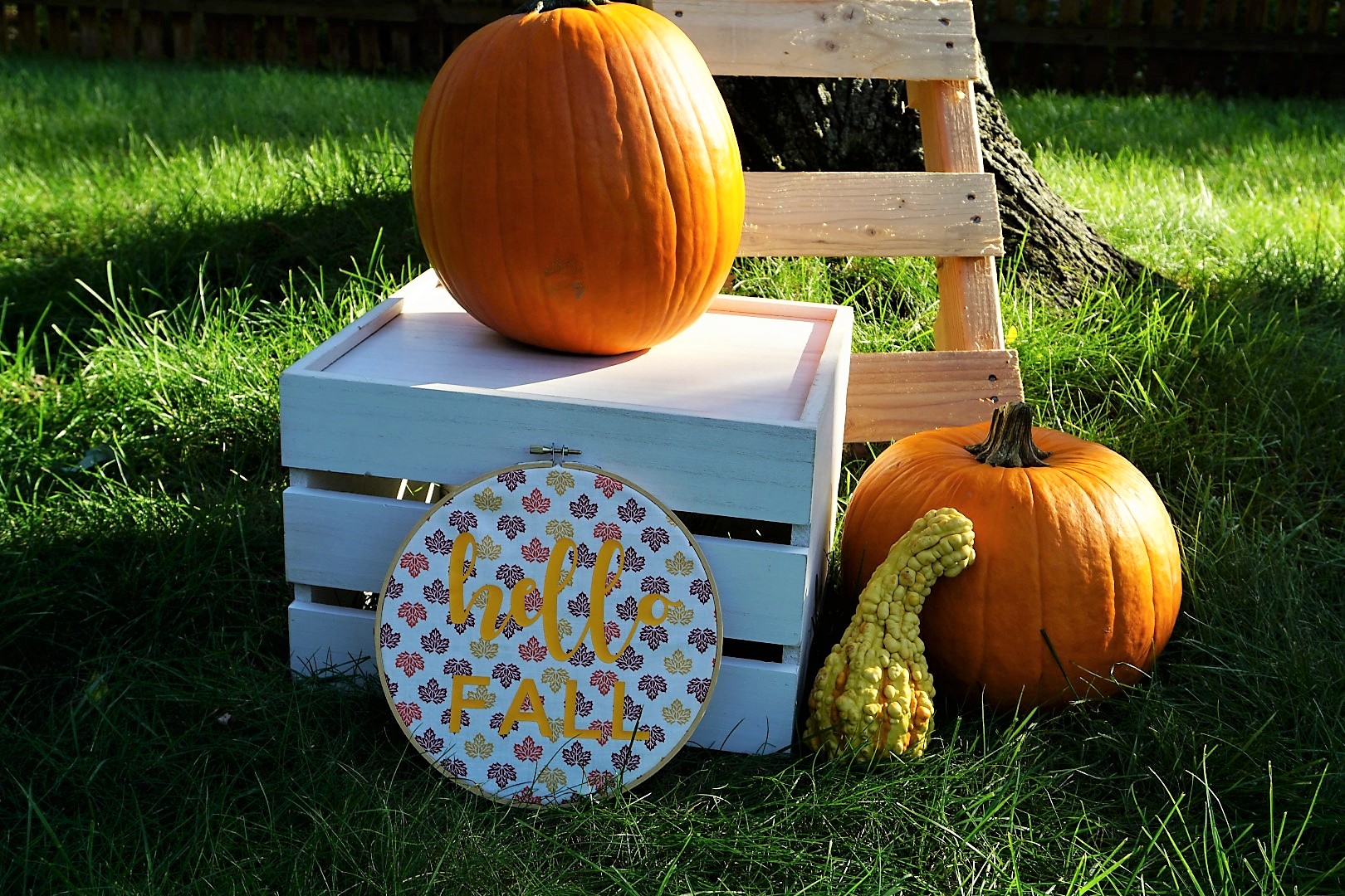  Circuit ion-on and embroidery hoop make for great fall party decor. Click here to re-create this fun fall party! | Legally Crafty #fallparty #bonfire #girlsnightin #girlsnight #basicfallgirl 