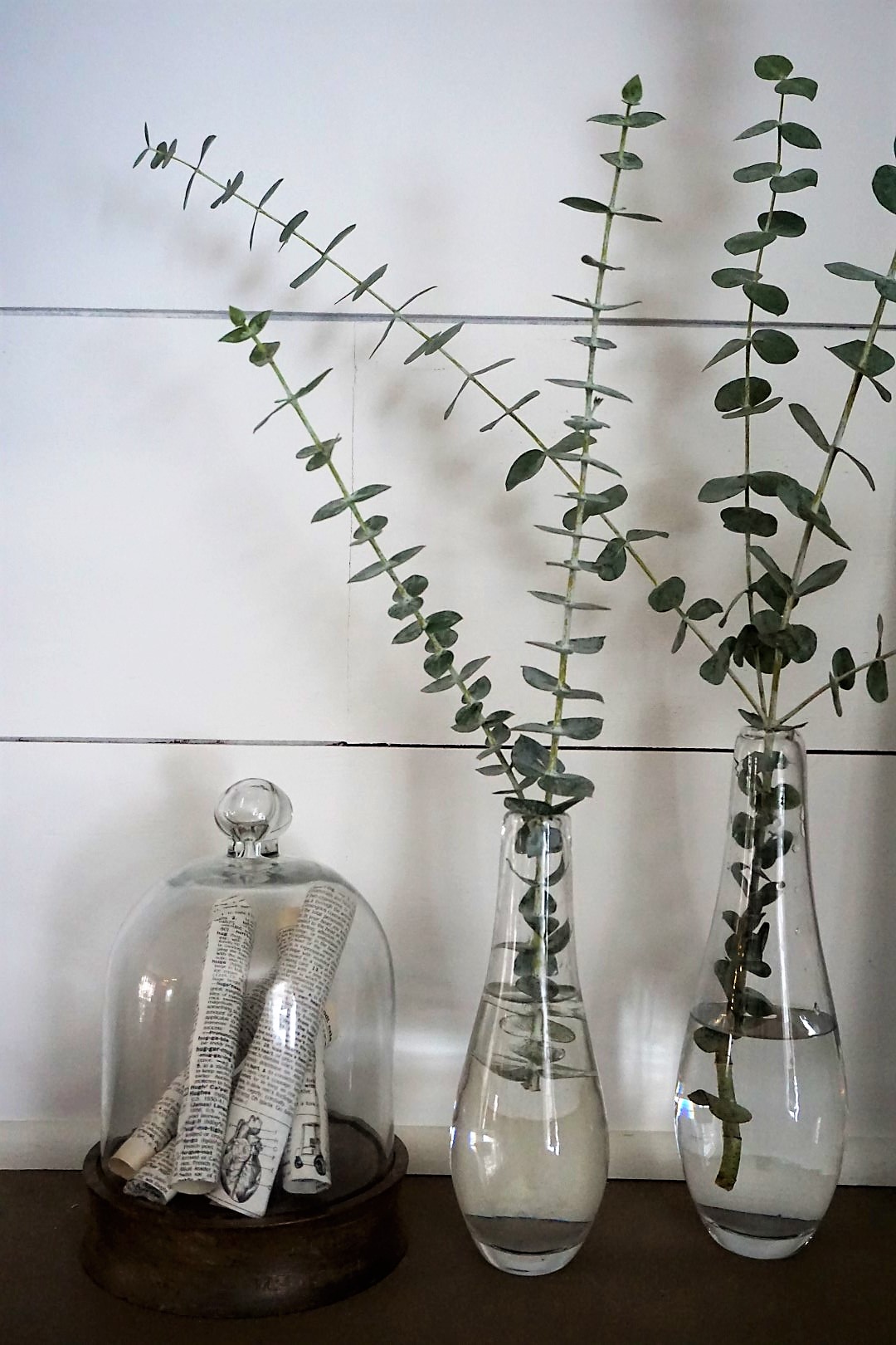  Eucalyptus looks perfect in clear glass thrift store vases.  