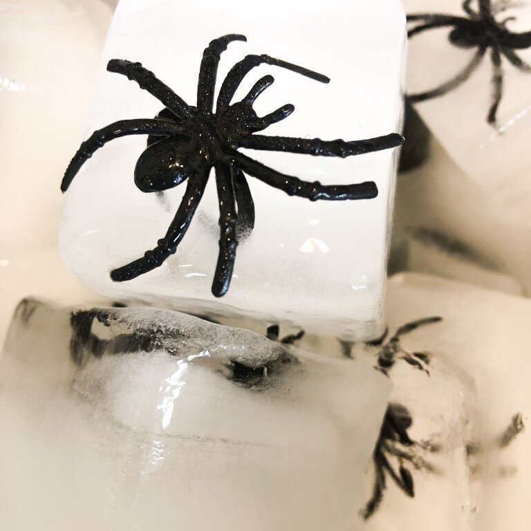  Halloween spider ice 