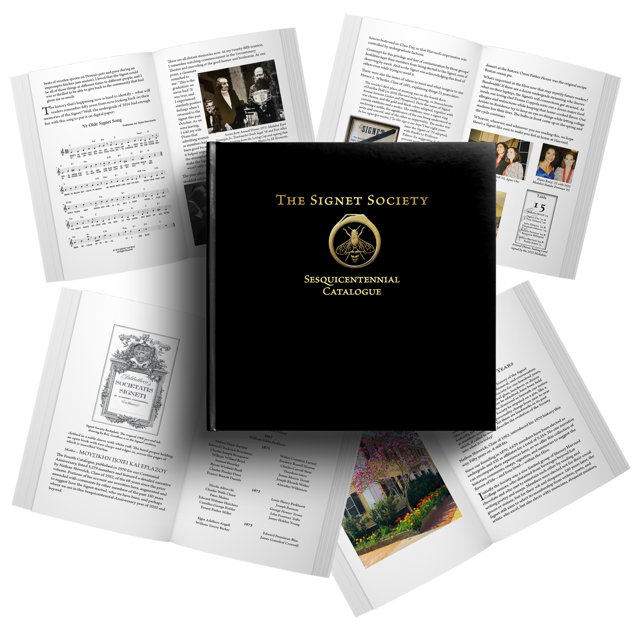 SignetBookImageGraphic.png