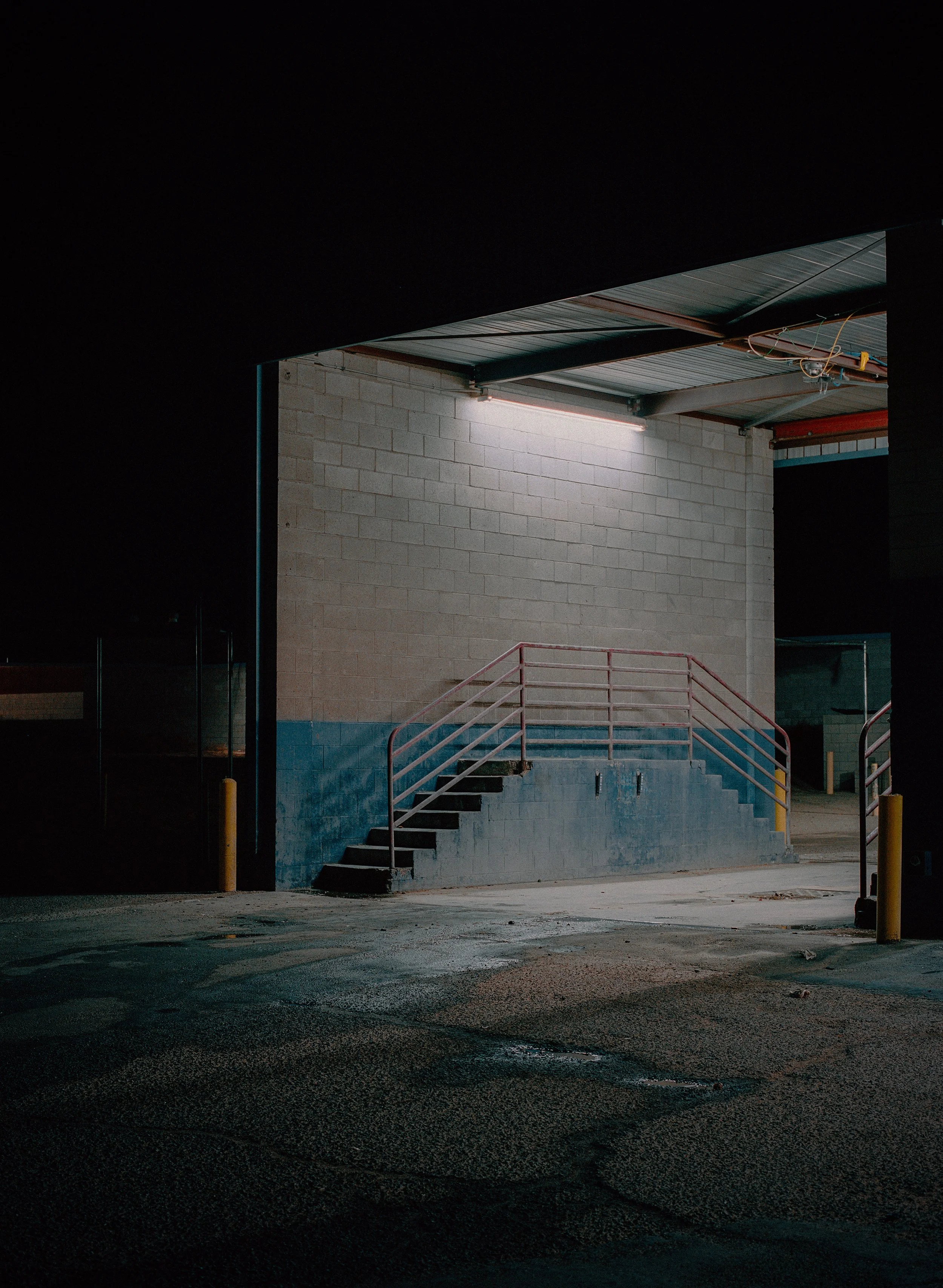 Phoenix Wonder Final 29.JPG