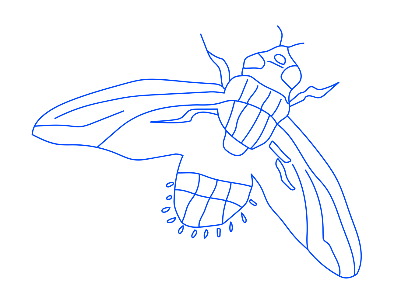 EOM_24-06-21_FLY.png