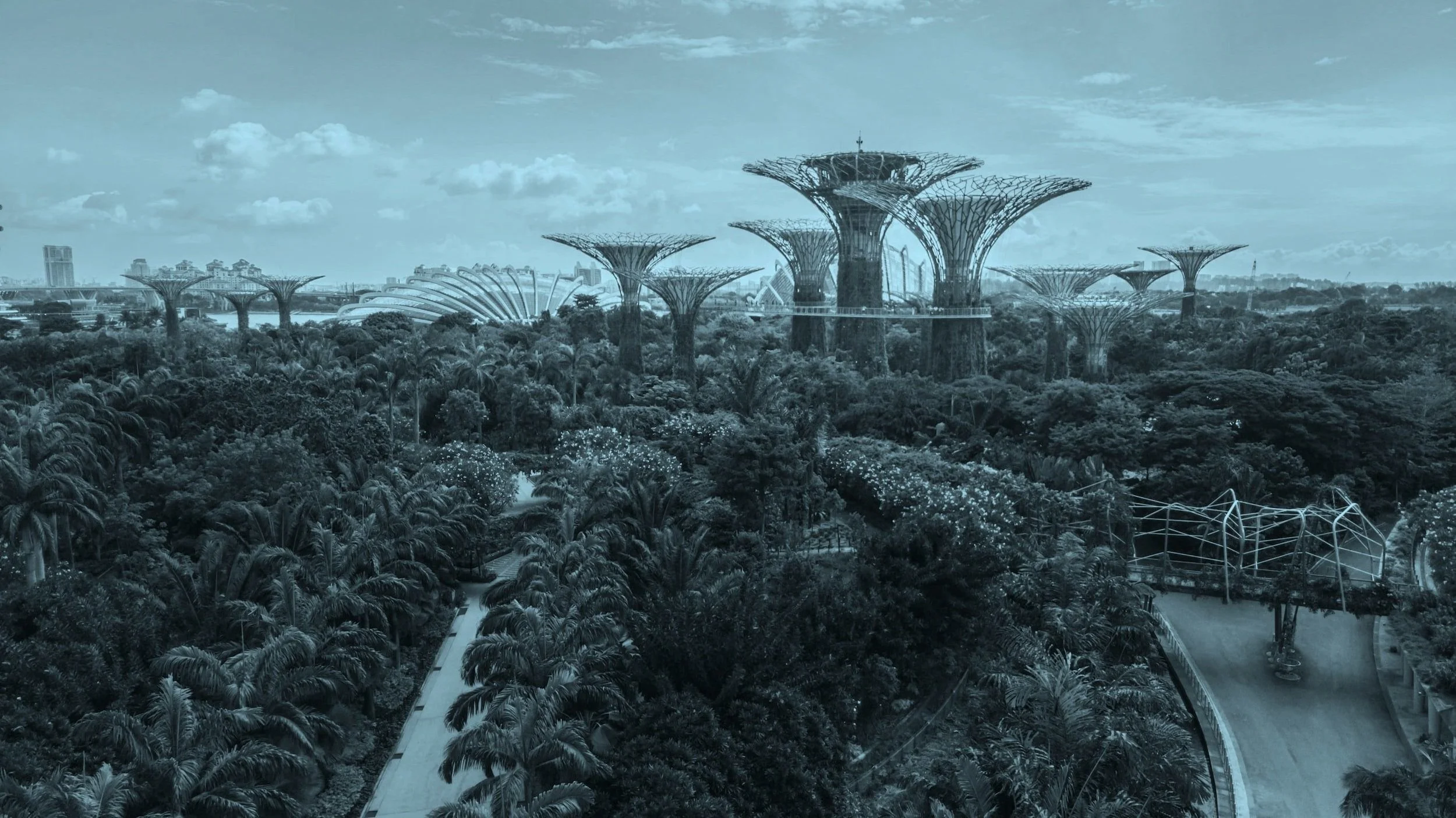 A Solarpunk Future