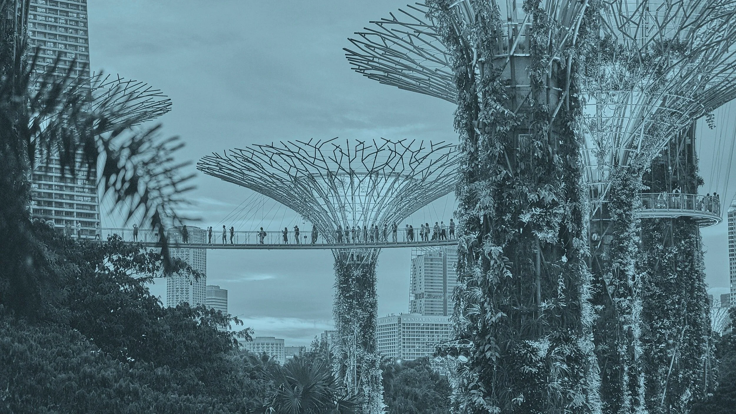 AI in a Solarpunk Future