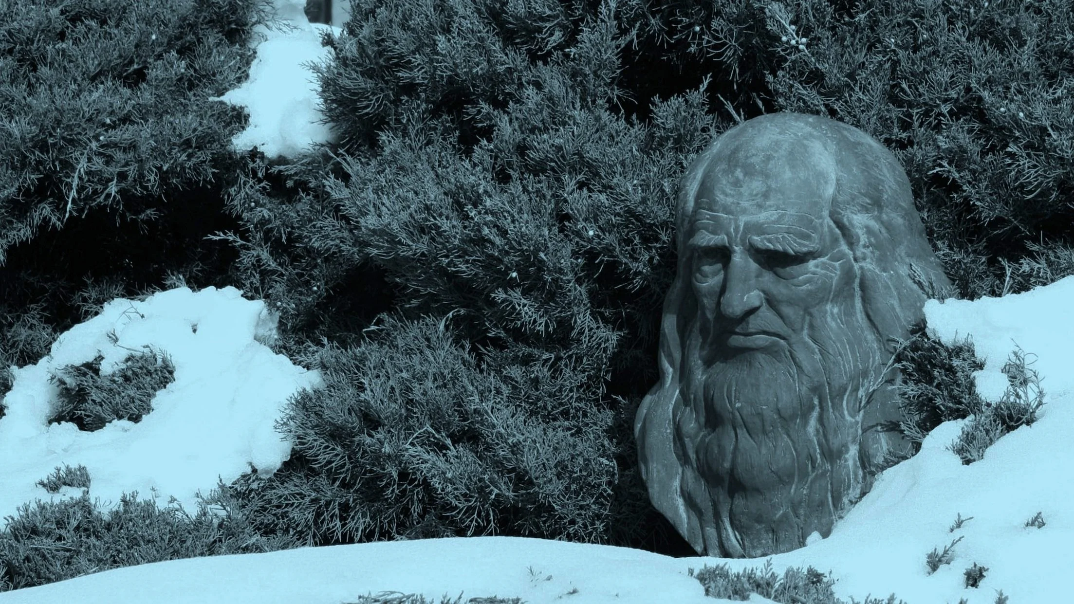 What is a polymath and who are famous polymaths?