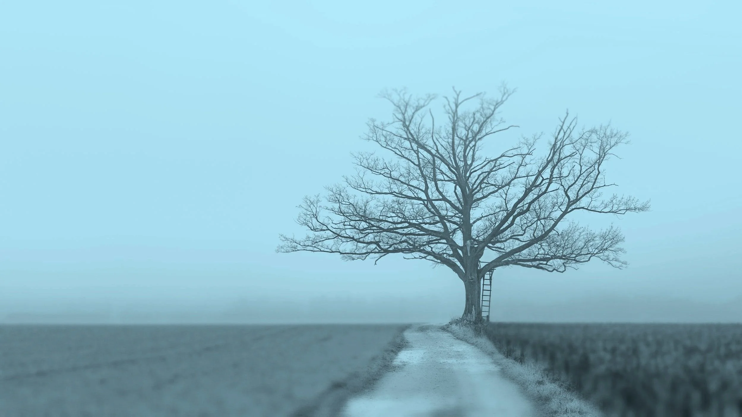 Understanding Decision Trees