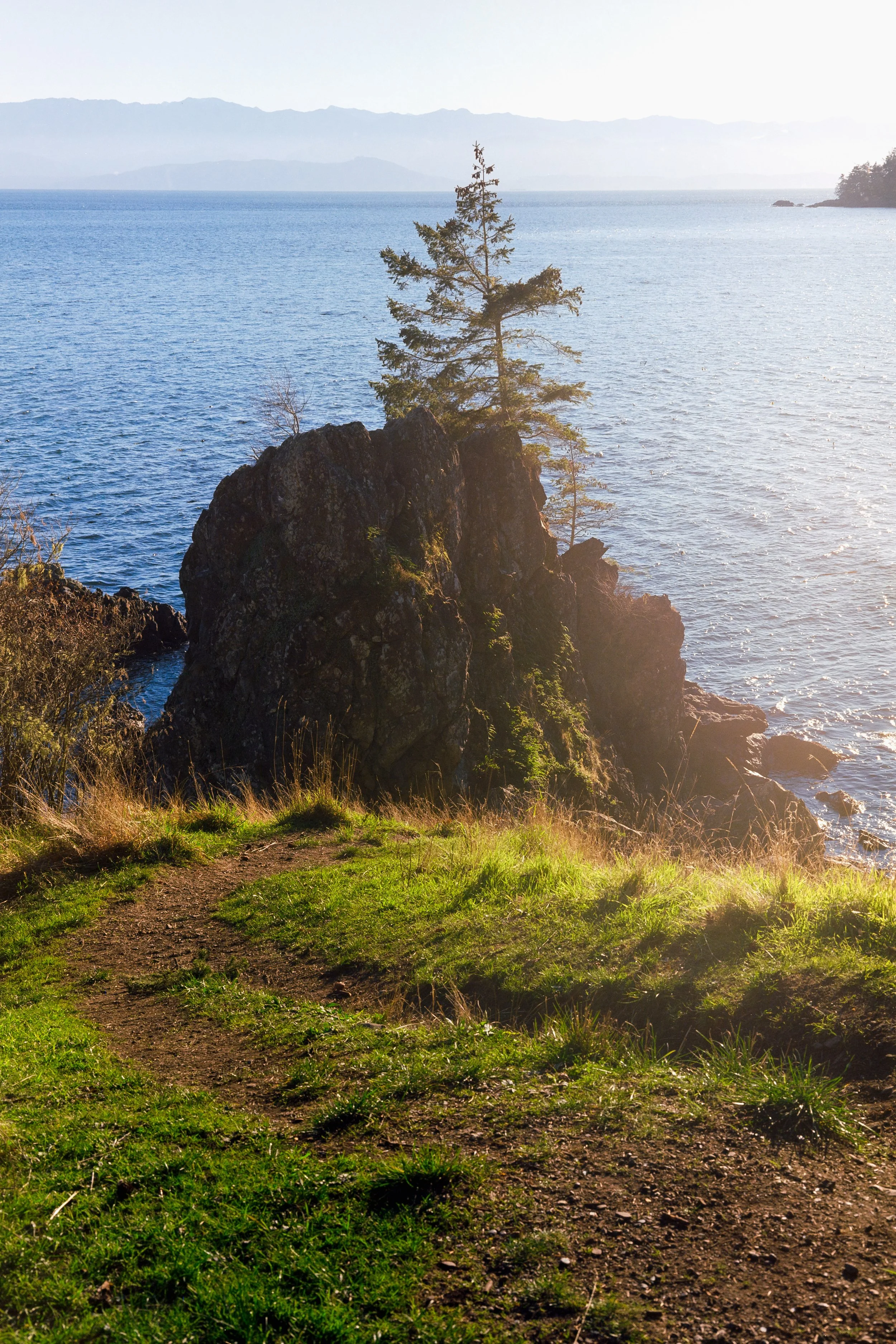 East Sooke Park Ektar 100 High Res.jpg