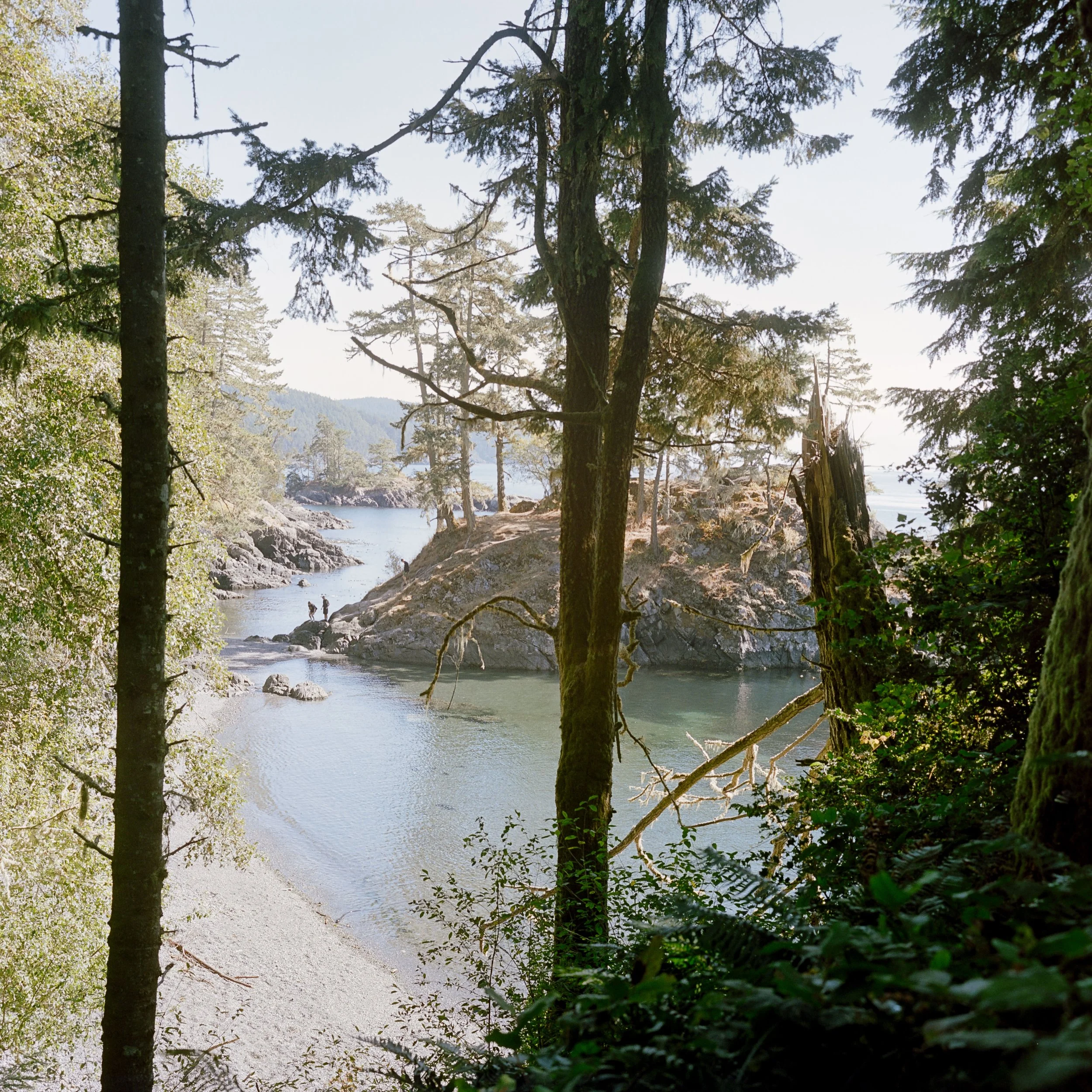 Catlabs X 100 Colour Rolleiflex Sept 23-6.jpg