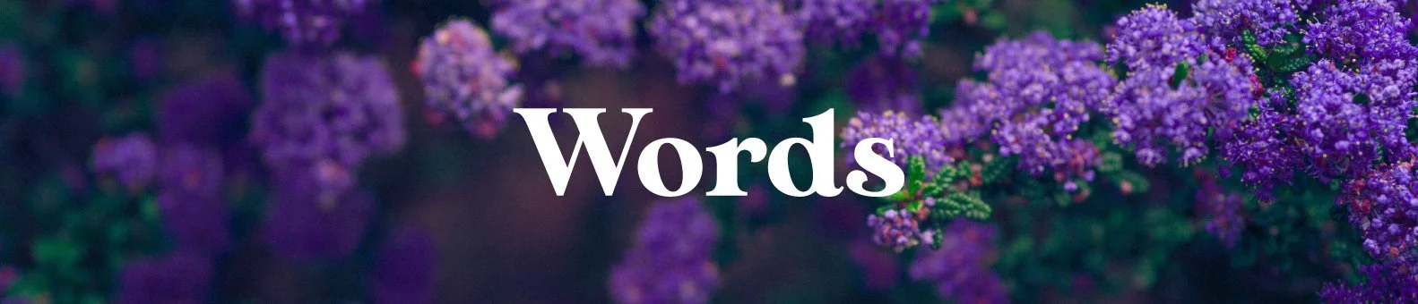 Purplelily-Design-words-banner.jpg