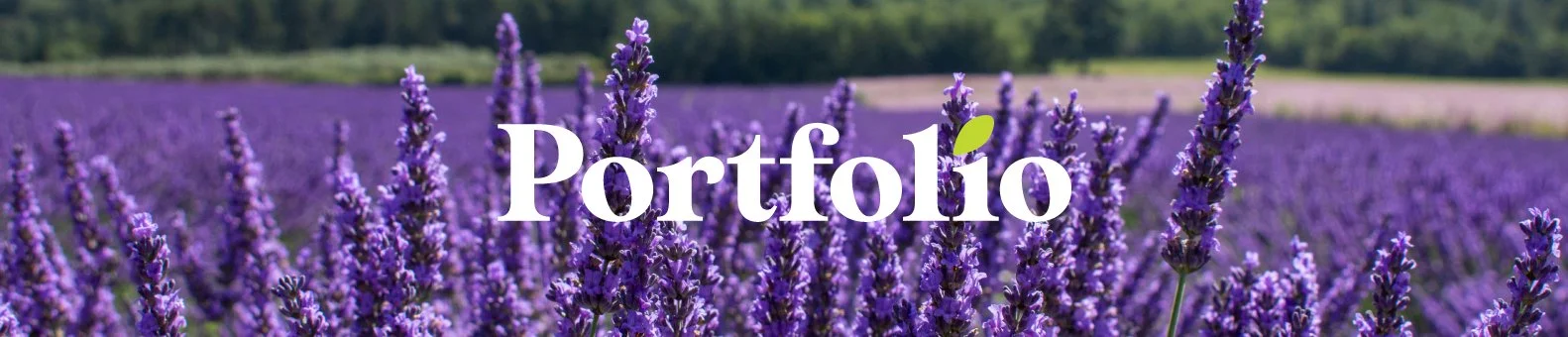 Purplelily-Design-portfolio-banner.jpg