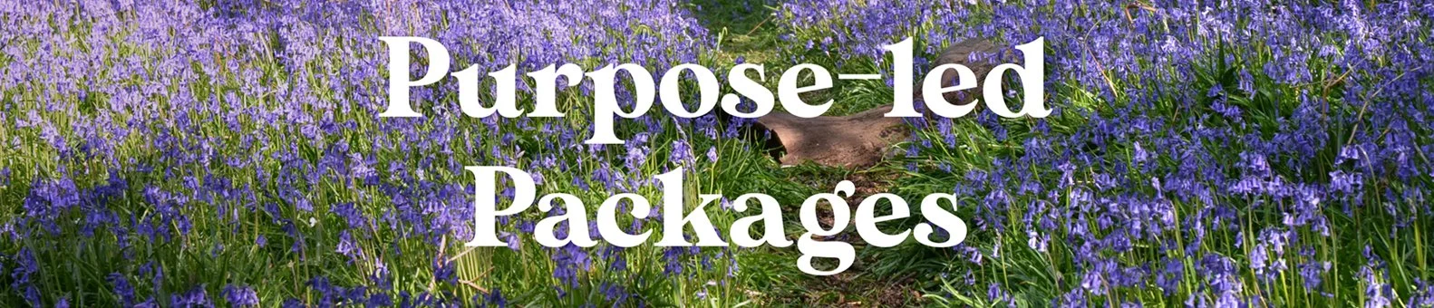 Purplelily-Design-purposeled-packages.jpg