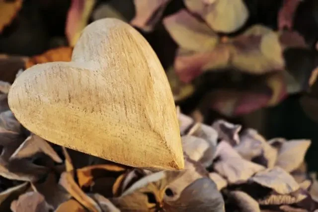 SPARKing Gratitude and Interconnection