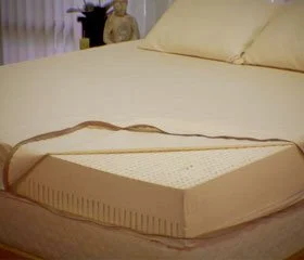6%22 latural latex bed.jpg