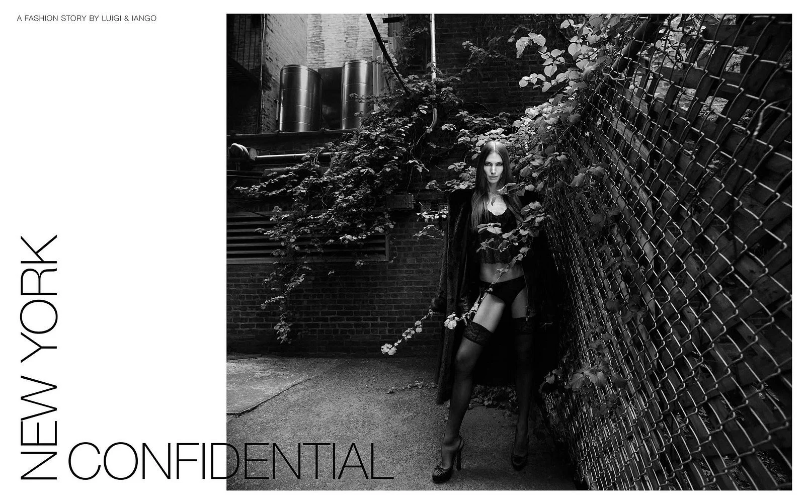 jess mlarge-1756368130-27eb7c2ed5e91aa144615fefaebcad00.jpg