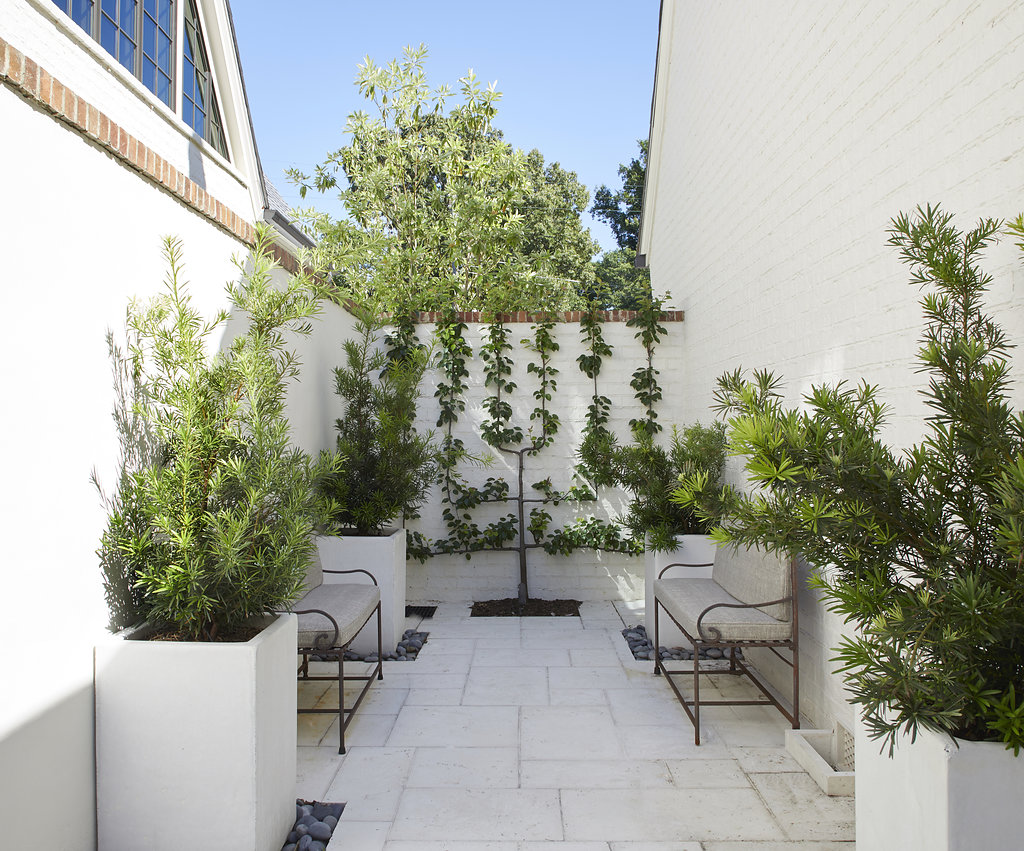 View of sitting area with vines climbing up the white wall, custom pots and shrubbery.