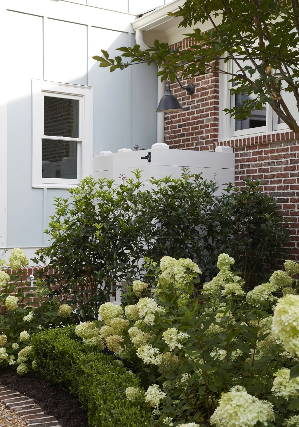 Hydrangea bushes and trees next to the home.
